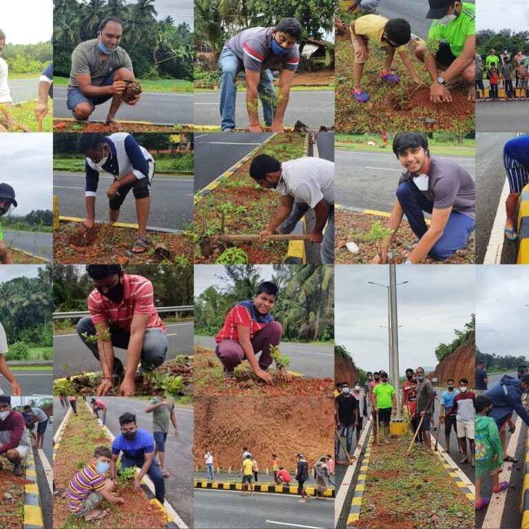 Akhil Goa Kshatriya Pagi Community takes up plantation drive on Parrikar by-pass road, Canacona