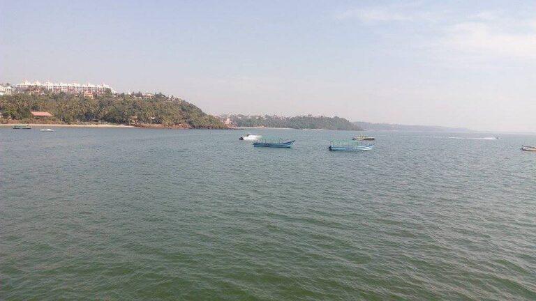 Trawlers continue fishing during the ban period in Zuari River