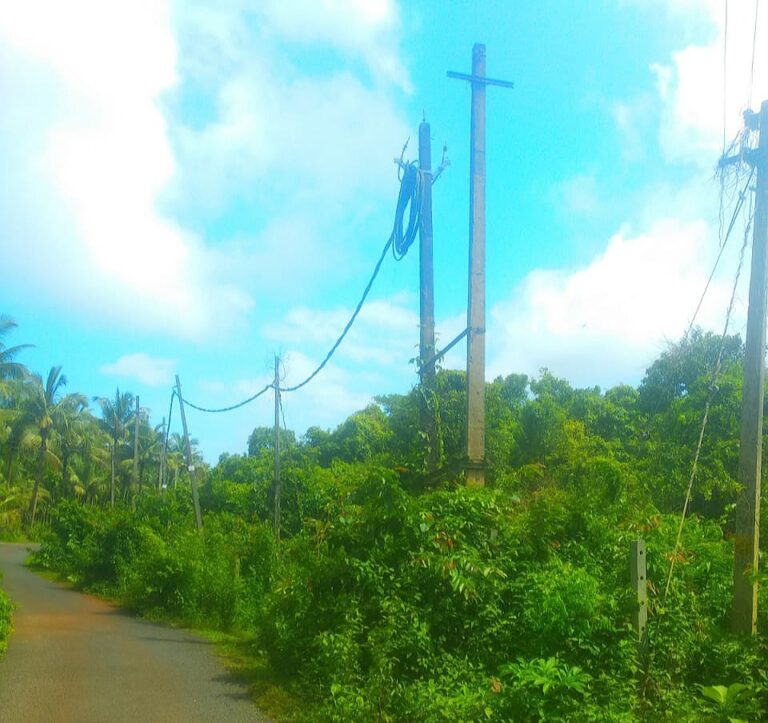 Maloli locals demand power minister to solve their power voltage supply problem     Devendra Gaonkar