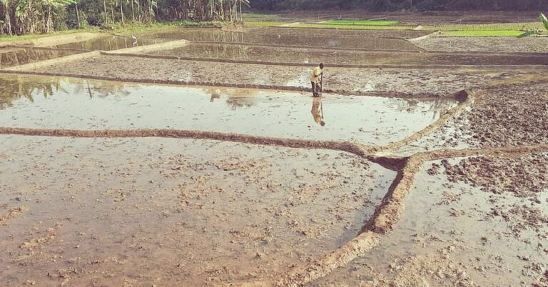 Alvara land issue continues to plague Sattari locals     Devendra Gaonkar