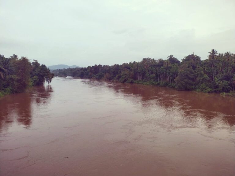 Mhadei River and Mhadei river tributaries are flowing in Sattari due to the heavy rainfalls in state  Devendra Gaonkar