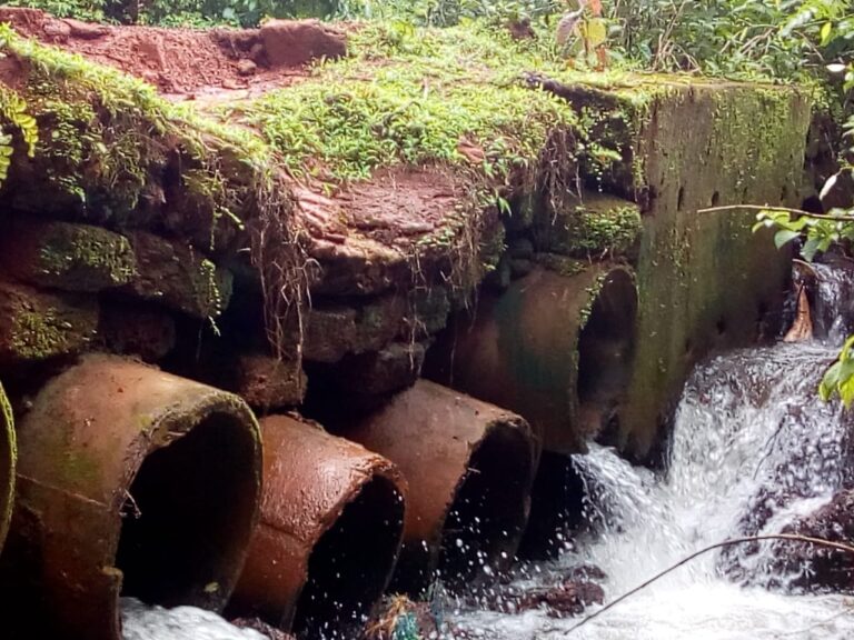 Sukad ward Vantem Village bridge is on verge to collapse  Devendra Gaonkar