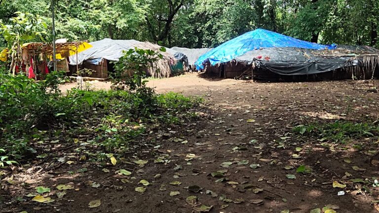 पुरामुळे जिल्ह्यातील ३९ गावांतील २९० कुटुंबांचे करण्यात आले स्थलांतर  २९० कुटुंबातील नागरिकांना हलविले सुरक्षित स्थळी