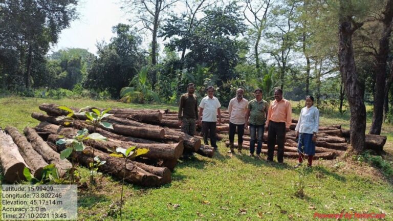 बिनपासी साग लाकूड वाहतूक करणारा ट्रक जप्त  ५१९ घनफुट सागवान लाकडासह लाखो रुपये किमतीचा ट्रक जप्त