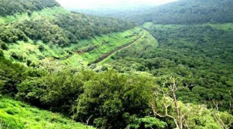 192 गावावरील “इकोसेन्सिटिव्ह झोन” ची टांगती तलवार कायम