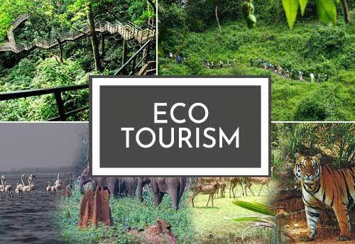 Goa to develop eco tourism within its forest areas