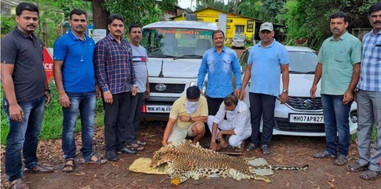 बिबट्याच्या कातडीची तस्करी, देवगड येथे दोघे ताब्यात  सिंधुदुर्ग एलसीबीची कारवाई; कातडीसह साडेअकरा लाखाचा मुद्देमाल जप्त…