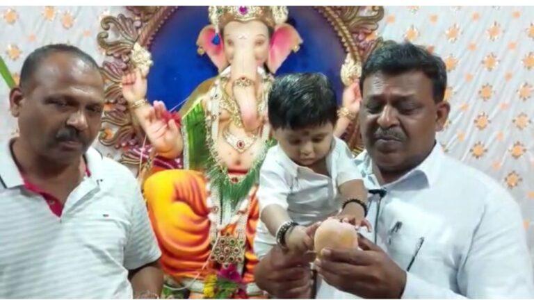 आता फळांचा राजा पिकलेल्या हापूस आंब्याचा गणपती बाप्पाला दाखवा नैवेद्य  सिंधुदुर्ग जिल्ह्यातील हापूस गणपतीत जातो देशभर, दर माहित आहे का ?