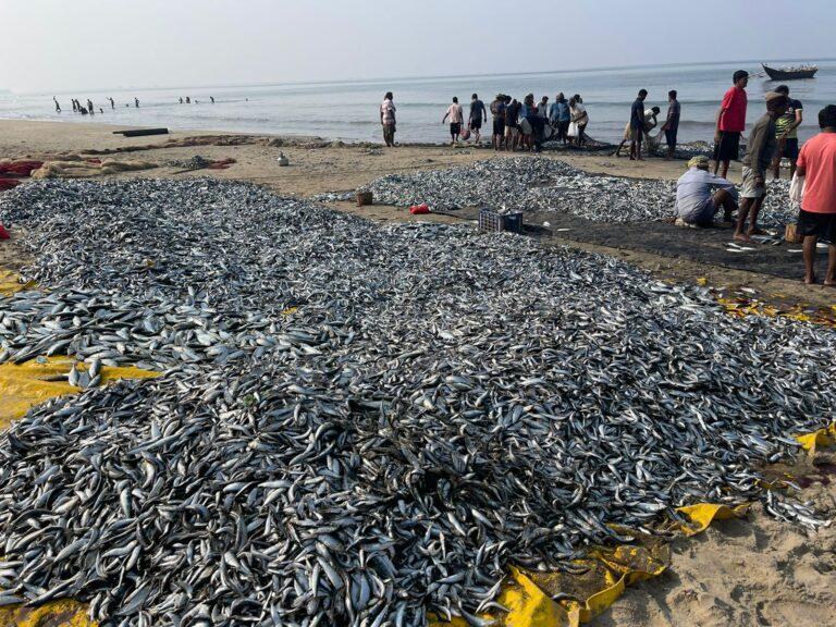 Goan economy can be majorly dependent on fishing: Minister