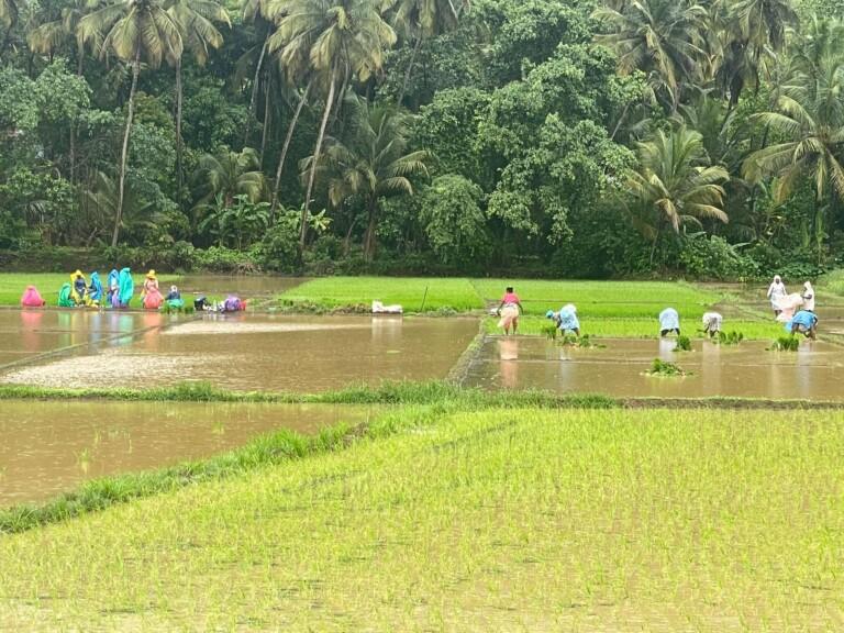 Goa likely to get heavy rainfall in next five days, warns IMD  Finally! Goa to witness heavy rainfall for next 5 days