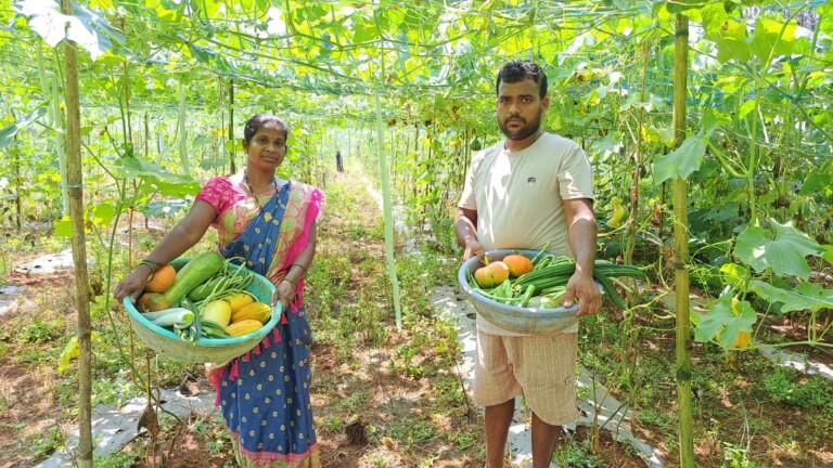 बीएससी ऍग्री झालेल्या पत्नीच्या मार्गदर्शनाखाली शेतकरी करतोय भाजीपाला..
