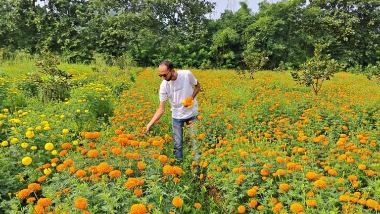 एमबीए एच आर झालेल्या तरुणाने केली झेंडू फुलांची लागवड..