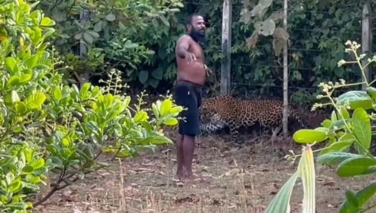 कोंडये येथील काजू बागेत बिबट्या वावर  एक व्यक्ती बिबट्यापासून काही अंतरावर