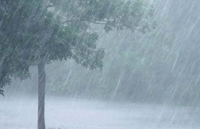 Goa to witness rains till Monday: IMD