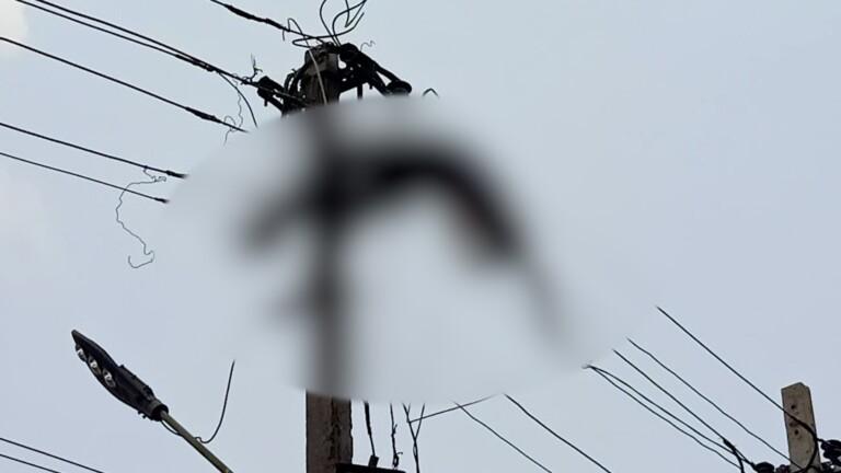 Tragedy: Electrician died after getting electrocuted at Bicholim