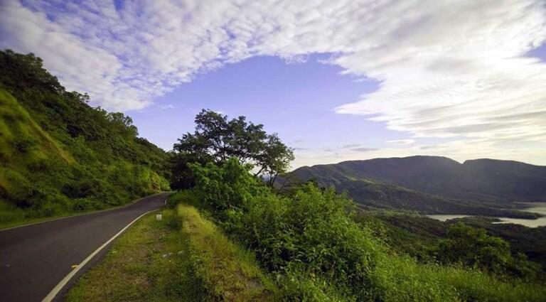Vagheri Hills to Be Included in Wildlife Sanctuary: Vishwajit Rane
