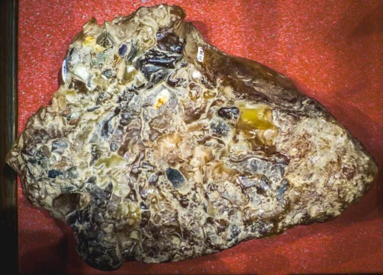 Illegal Ambergris Worth Crores Seized Near Dabamol, Goa | Three Accused Arrested