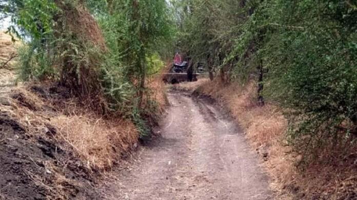 WhatsApp Image 2026-02-16 at 11.55.13 AM