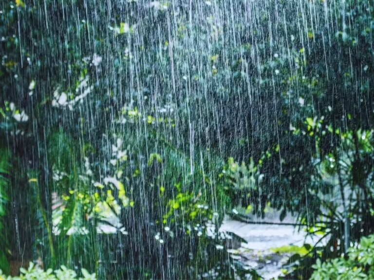 Light rainfall in Goa on Sunday, ahead of Yellow Alert on Monday and Tuesday