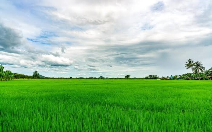 TCP declares 1.02 crore sq m of eco-sensitive land as No Development Zone