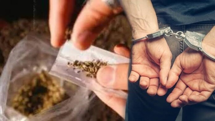 Goa Crime Branch seizes ganja worth Rs 10.5 lakh, Odisha man held